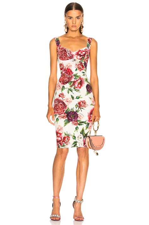 dolce peony dolce gabbana|dolce gabbana peony dress.